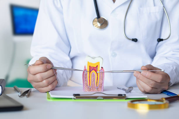 Best Emergency Dental Care for Sports Injuries in Stromsburg, NE